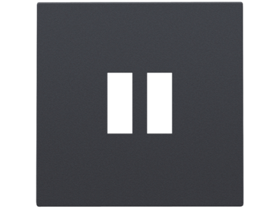 Afwerkingsset voor dubbele USB-A-lader, anthracite