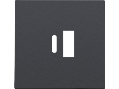 Afwerkingsset voor dubbele smart USB-A en USB-C-lader, anthracite