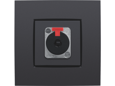 Afwerkingsset voor XLR- of JACK-aansluiting, anthracite