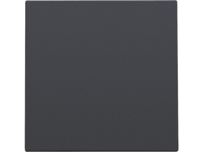 Blindplaat, anthracite
