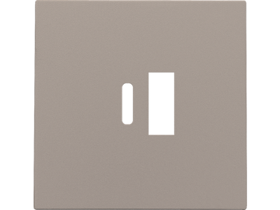 Afwerkingsset voor dubbele smart USB-A en USB-C-lader, bronze