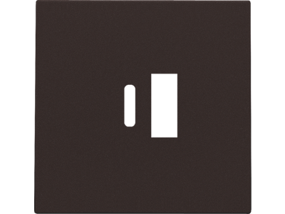 Afwerkingsset voor dubbele smart USB-A en USB-C-lader, dark brown