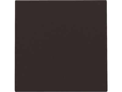 Blindplaat, dark brown