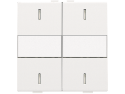 Tweevoudige toets met tekstveld voor drukknop met 4 bedieningsknoppen en 4 feedbackleds, white coated