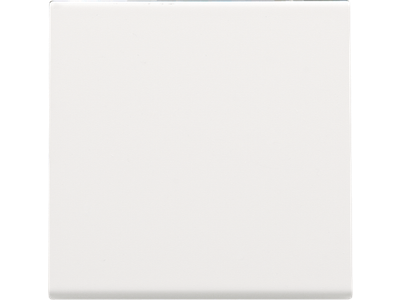 Afwerkingsset voor elektronische schakelaar of drukknop, white coated