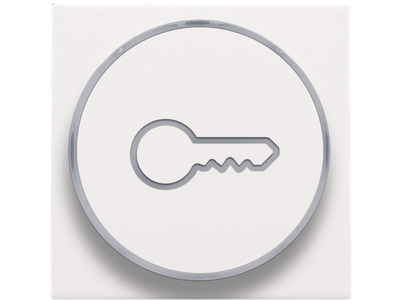 Afwerkingsset met doorschijnende ring met sleutelsymbool voor drukknop 6A met amberkleurige led met E10-lampvoet, white coated