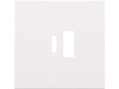 Afwerkingsset voor dubbele smart USB-A en USB-C-lader, white coated