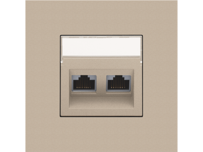 Centraalplaat data 2x RJ schuine uitgang, champagne coated