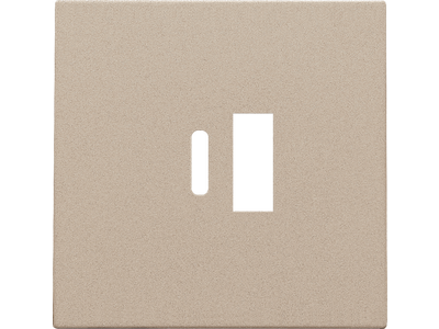 Afwerkingsset voor dubbele smart USB-A en USB-C-lader, champagne coated