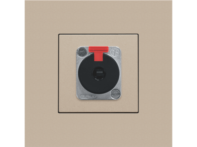 Afwerkingsset voor XLR- of JACK-aansluiting, champagne coated