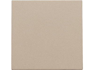 Blindplaat, champagne coated