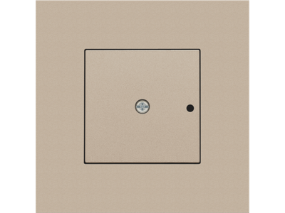 Afwerkingsset voor 1-kanaals inbouw RF-ontvanger met enkelpolig (potentiaalvrij) schakelcontact of inbouw RF-ontvanger met rolluikfunctie, champagne coated