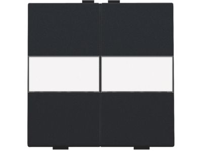 Tweevoudige toets met tekstveld voor draadloze schakelaar of drukknop met 4 bedieningsknoppen, black coated