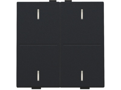 Tweevoudige toets voor drukknop met 4 bedieningsknoppen en 4 feedbackleds, black coated