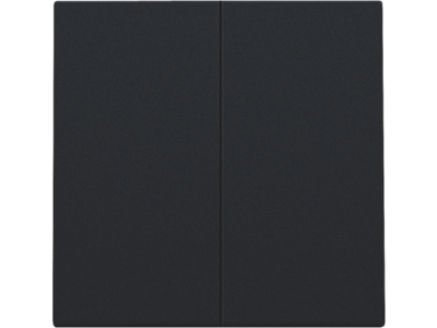 Afwerkingsset voor dubbele elektronische schakelaar of drukknop, black coated