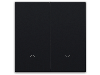 Afwerkingsset voor dubbele elektronische rolluikschakelaar, black coated