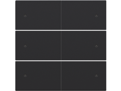 Afwerkingsset voor 6-voudige potentiaalvrije drukknop, 24 V, met leds, black coated