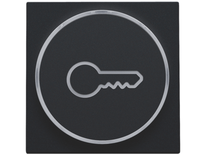 Afwerkingsset met doorschijnende ring met sleutelsymbool voor drukknop 6A met amberkleurige led met E10-lampvoet, black coated