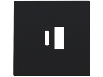 Afwerkingsset voor dubbele smart USB-A en USB-C-lader, black coated