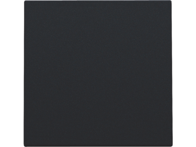 Blindplaat, black coated