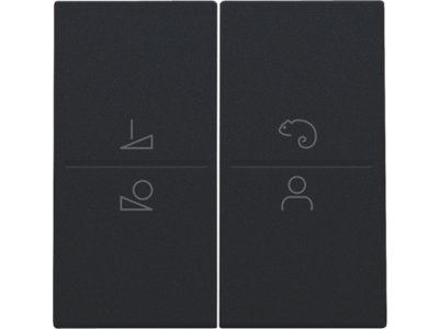 Afwerkingsset voor ledbediening met draadloze schakelaar, black coated