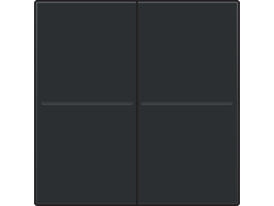 Tweevoudige toets, draadloos, voor draadloze dimschakelaar (Hue®, Bluetooth®, EnOcean®, KNX®), piano black coated