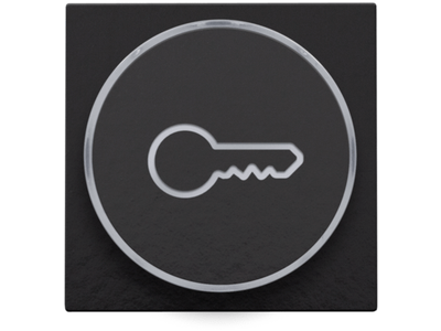 Afwerkingsset met doorschijnende ring met sleutelsymbool voor drukknop 6A met amberkleurige led met E10-lampvoet, piano black coated