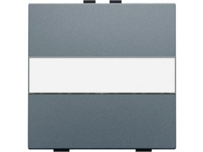 Enkelvoudige toets met tekstveld voor draadloze schakelaar of drukknop met 2 bedieningsknoppen, steel grey coated