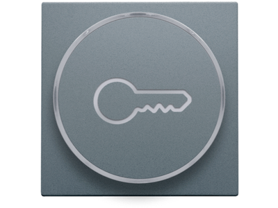 Afwerkingsset met doorschijnende ring met sleutelsymbool voor drukknop 6A met amberkleurige led met E10-lampvoet, steel grey coated