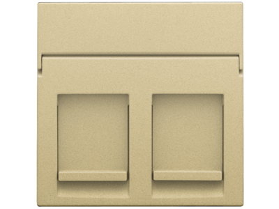 Centraalplaat data 2x RJ, alu gold coated