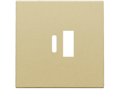 Afwerkingsset voor dubbele smart USB-A en USB-C-lader, alu gold coated
