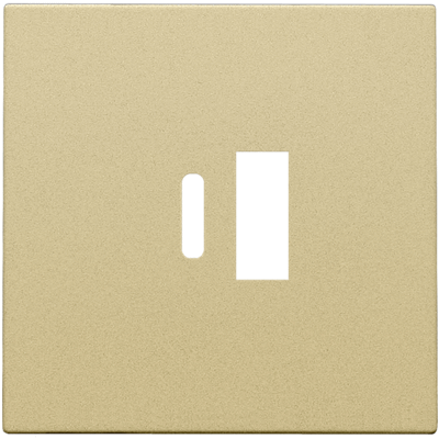 Afwerkingsset voor dubbele smart USB-A en USB-C-lader, alu gold coated  Niko