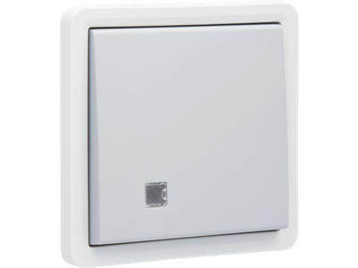 Spuitwaterdichte, verlichtbare drukknop 10 A/250 Vac met doorschijnend venster en een N.O.- of N.G.-contact, exclusief opbouwdoos, met insteekklemmen, grey
