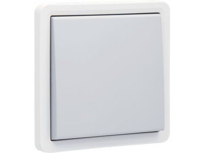 Spuitwaterdichte, niet-verlichtbare drukknop 10 A/250 Vac met 4 aansluitklemmen en een N.O.- of N.G.-contact, exclusief opbouwdoos, met insteekklemmen, grey