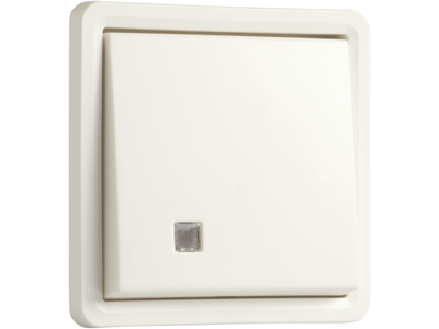 Spuitwaterdichte tweepolige controleschakelaar 10 AX/250 Vac met transparant venster en met insteekklemmen, exclusief opbouwdoos en verlichtingselementen, Kleurcombinatie: white.