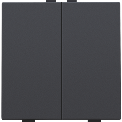 Niko Bouton-poussoir double pour Niko Home Control, anthracite 