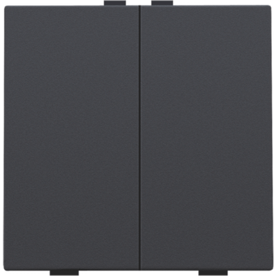 Bouton-poussoir double pour Niko Home Control, anthracite  Niko