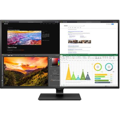 Moniteur IPS UHD 4K de 42,5 pouces LG Electronics