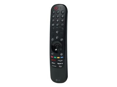 MR25GB Magic Remote