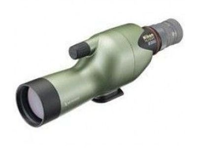 ED50 Pearlescent Green
