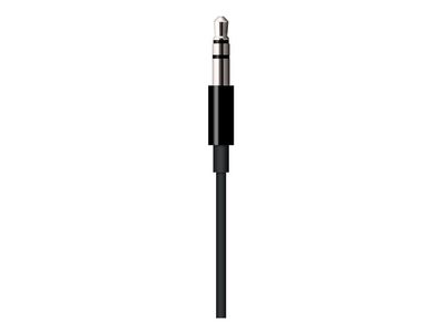 Lightning-naar-mini-jack-audiokabel (1,2 m)