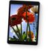 10.2-inch iPad Wi-Fi 64GB Space Grey  