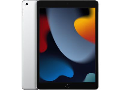 10.2-inch iPad Wi-Fi + Cellular 256GB Silver 