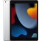 10.2-inch iPad Wi-Fi + Cellular 256GB Silver  