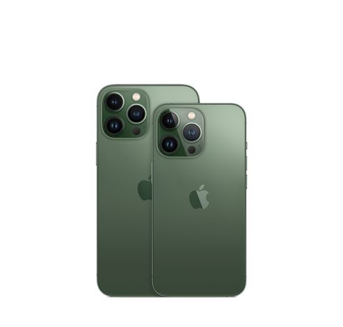 iPhone 13 Pro 1TB Alpine Green  Apple