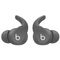 Beats Fit Pro True Wireless Earbuds Sage Grey 