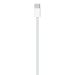 Apple Geweven USB C oplaadkabel (1 m)