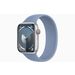 Apple Watch Series 9 GPS + Cellular 45mm Silver Aluminium Case with Winter Blue Sport Loop 