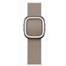 Apple Sahara-beige bandje moderne gesp (41 mm) Medium