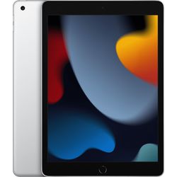 Apple Refurbished iPad (2021) 256GB Wifi + 4G Silver C Grade 